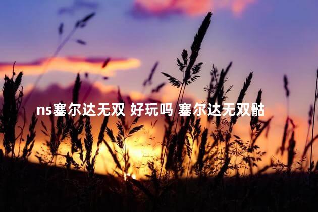 ns塞尔达无双 好玩吗 塞尔达无双骷髅蜘蛛